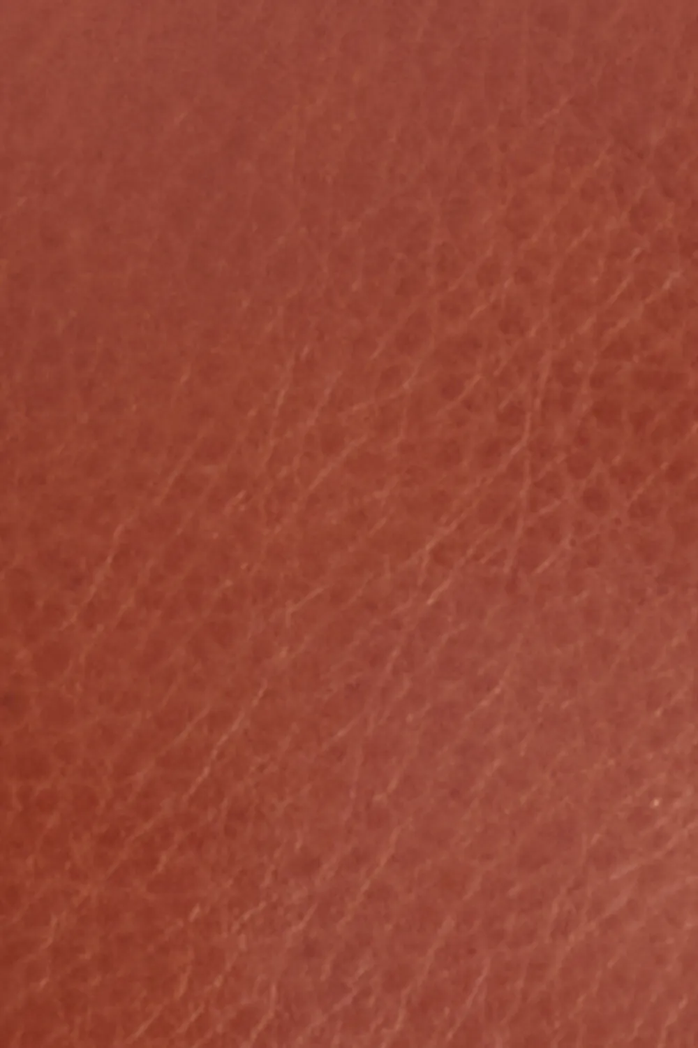 Barbour Monedero Cuero Laire