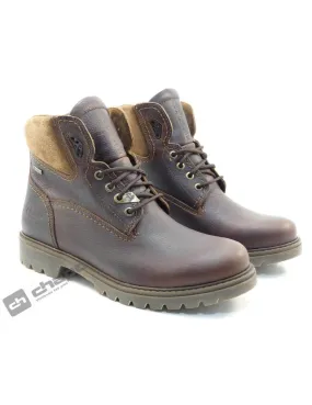 Botines Marron Panama Jack Amur Gtx C10